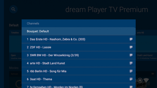 اسکرین شات برنامه dream Player IPTV for Android TV 5