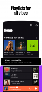 اسکرین شات 5 برنامه Deezer: Music & Podcast Player