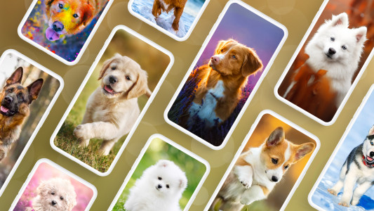 اسکرین شات برنامه Dog Wallpapers & Puppy 4K 1