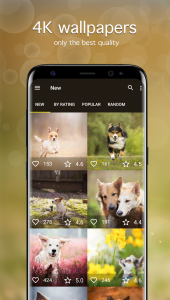 اسکرین شات 2 برنامه Dog Wallpapers & Puppy 4K
