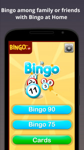 اسکرین شات بازی Bingo at Home 1