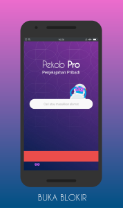 اسکرین شات برنامه Pekob Pro: Private Browser 3