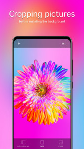 اسکرین شات 4 برنامه Flower Wallpapers 4K