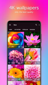 اسکرین شات 2 برنامه Flower Wallpapers 4K