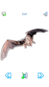 اسکرین شات 2 برنامه Sounds of Fauna + ringtones