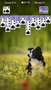 اسکرین شات 6 بازی Spider Solitaire-Card Games