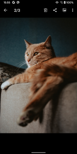 اسکرین شات 6 برنامه Gallery - photo gallery, album