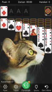 اسکرین شات 2 بازی Solitaire Klasik Klondike