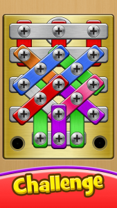 اسکرین شات بازی Screw Tricky Puzzle-Pin Master 4