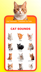 اسکرین شات بازی Translator for Cats Prank 1