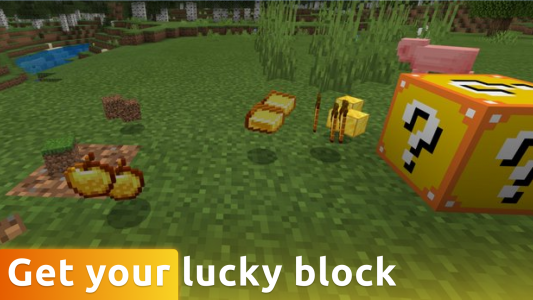 اسکرین شات برنامه Lucky Block mods in minecraft 2