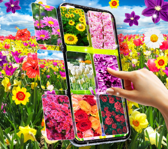 اسکرین شات برنامه Flowers live wallpaper 1