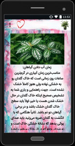 اسکرین شات برنامه نگهداری از گلهای آپارتمانی 2