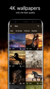 اسکرین شات 2 برنامه Horse Wallpapers 4K