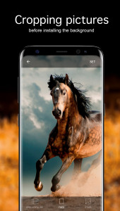 اسکرین شات برنامه Horse Wallpapers 4K 4