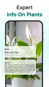 اسکرین شات برنامه ‎Florant: Ai Plant Identifier 5