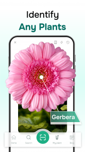 اسکرین شات برنامه ‎Florant: Ai Plant Identifier 1