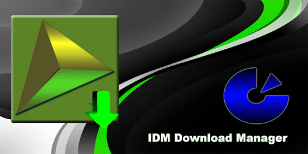 اسکرین شات برنامه IDM Download Manager ★★★★★ 1