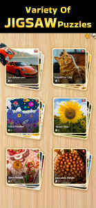 اسکرین شات 4 بازی Jigsaw Puzzle Explorer