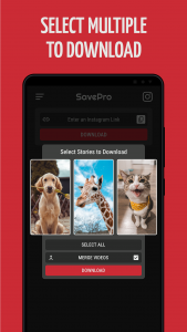اسکرین شات 2 برنامه Video Downloader & Story Saver