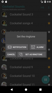 اسکرین شات برنامه Appp.io - Cockatiel Sounds 4