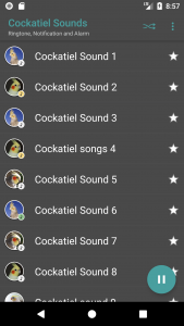 اسکرین شات برنامه Appp.io - Cockatiel Sounds 2