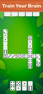 اسکرین شات 1 بازی Dominoes Board Game