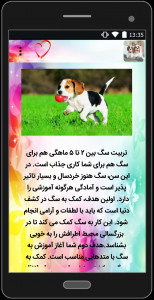 اسکرین شات برنامه شناخت و تربیت سگ های خانگی 5