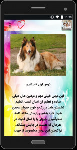اسکرین شات برنامه شناخت و تربیت سگ های خانگی 4