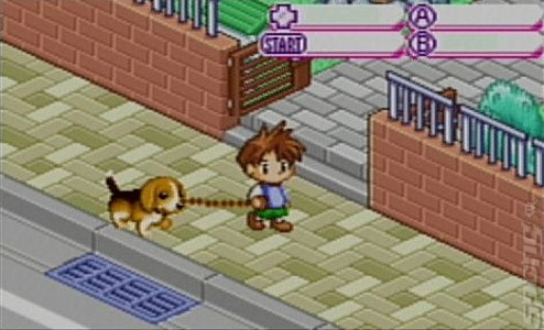 اسکرین شات بازی بازی مهیج نگهداری از سگ ها 2 2