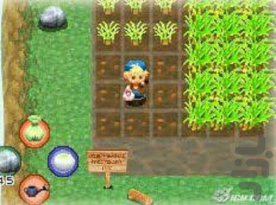 اسکرین شات بازی مزرعه دار پسر 2-در جزیره 3