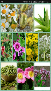 اسکرین شات برنامه خواص گیاهان دارویی 4