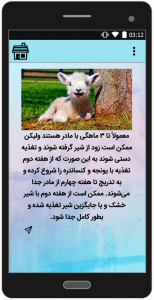 اسکرین شات 3 برنامه آموزش جامع پرورش گوسفند