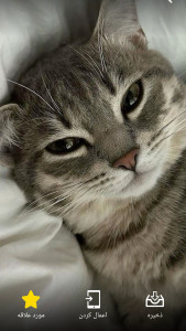 اسکرین شات 3 برنامه ‏‏تصویر زمینه دخترانه