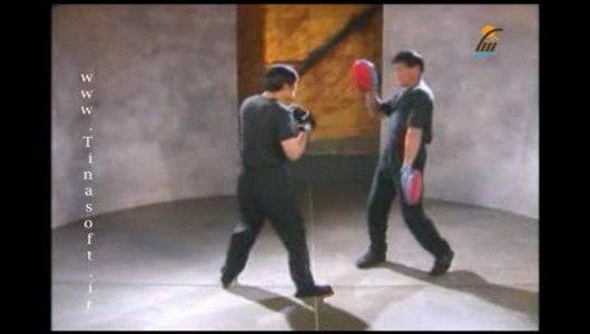 اسکرین شات برنامه آموزش مبارزه به سبک بروسلی 9