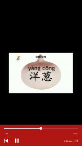 اسکرین شات برنامه یادگیری لغات زبان چینی با تصاویر 4