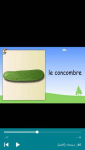 اسکرین شات برنامه آموزش لغات فرانسوی با فلش کارت گویا 2