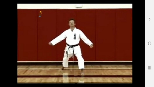 اسکرین شات برنامه یادگیری کاراته درمنزل 9