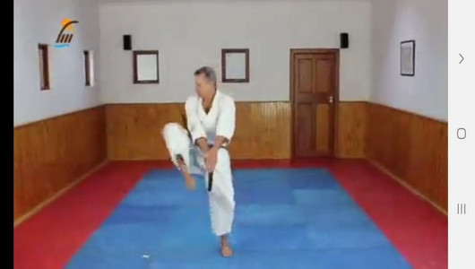 اسکرین شات برنامه یادگیری کاراته درمنزل 7
