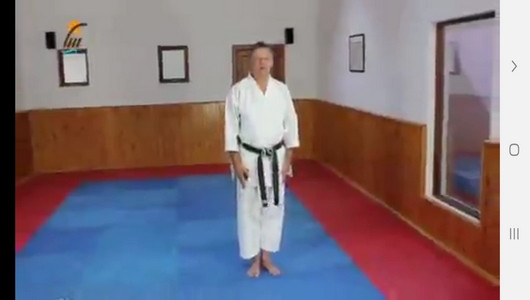 اسکرین شات برنامه یادگیری کاراته درمنزل 10