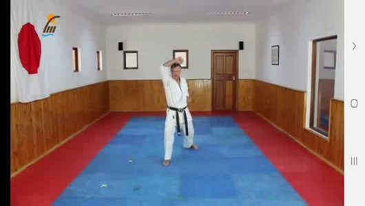 اسکرین شات برنامه یادگیری کاراته درمنزل 5