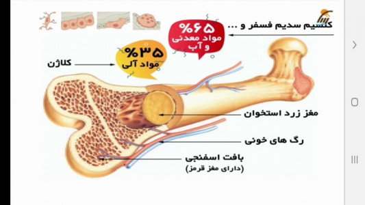 اسکرین شات برنامه علوم تجربی پنجم دبستان-آموزش و آزمون 9