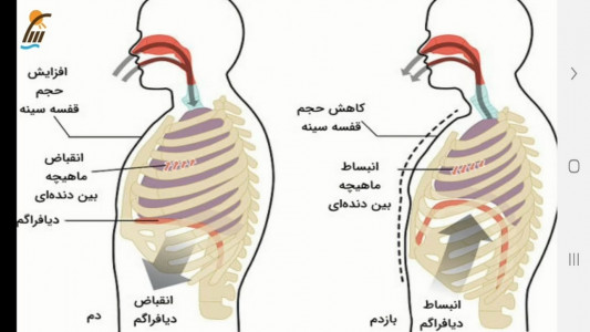 اسکرین شات برنامه علوم تجربی پایه هفتم - آموزش و آزمون 4