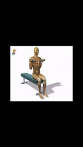 اسکرین شات برنامه تمرینات قدرتی و مقاومتی در بدن سازی 16