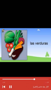 اسکرین شات برنامه آموزش لغات اسپانیایی با فلش کارت 9
