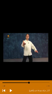 اسکرین شات برنامه آموزش هنر رزمی تای چی و حرکات آن 9