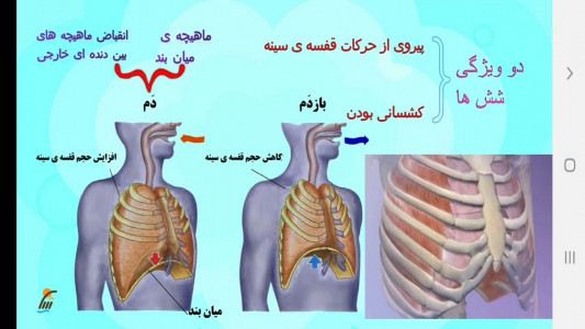 اسکرین شات برنامه زیست شناسی (۱) - آموزش و آزمون 8