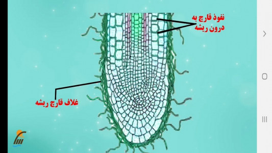 اسکرین شات برنامه زیست شناسی (۱) - آموزش و آزمون 4