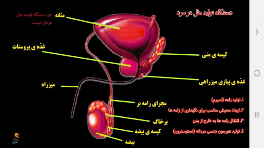 اسکرین شات برنامه آموزش زیست شناسی (2) - پایه یازدهم 3