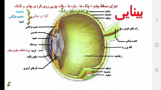 اسکرین شات برنامه آموزش زیست شناسی (2) - پایه یازدهم 6